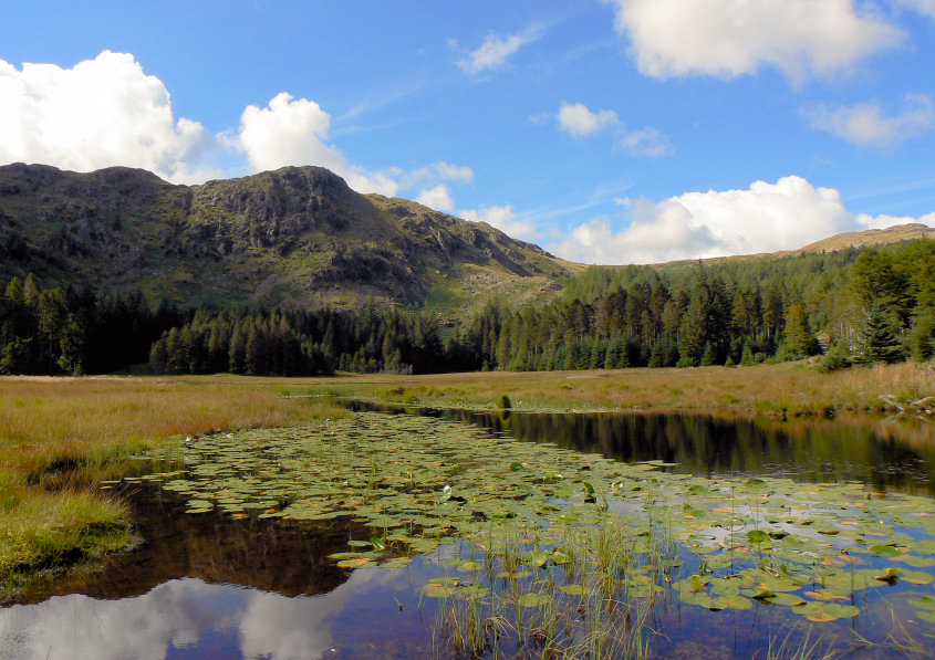 Harrop Tarn Harrop Tarn